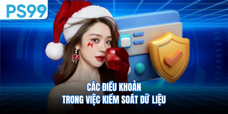 Các điều khoản trong việc kiểm soát dữ liệu