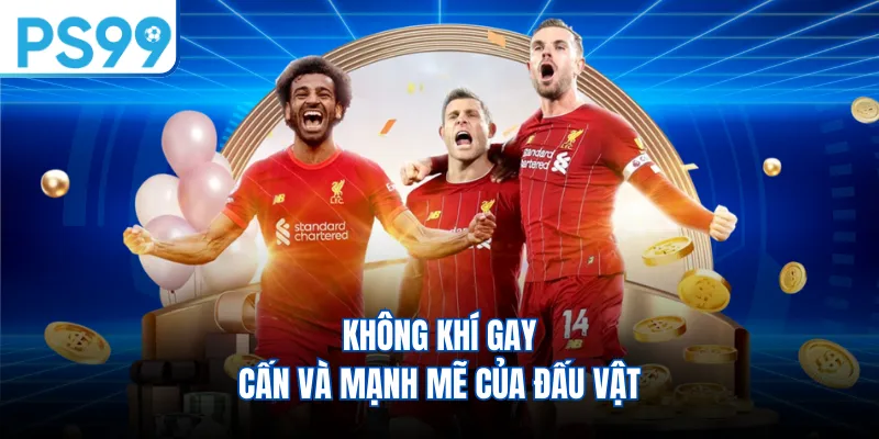 Không khí gay cấn và mạnh mẽ của đấu vật 